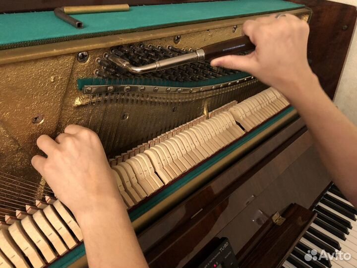 Настройщик пианино и роялей