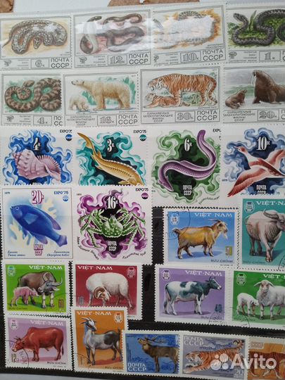 Марки коллеция