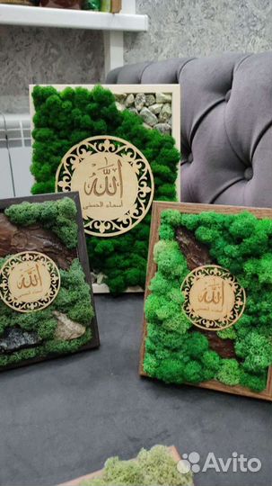 Картины из стабилизированного мха 