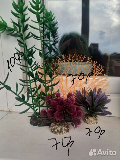 Набор для аквариума