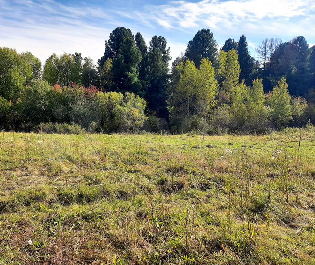 Участок 10 сот. (ИЖС)