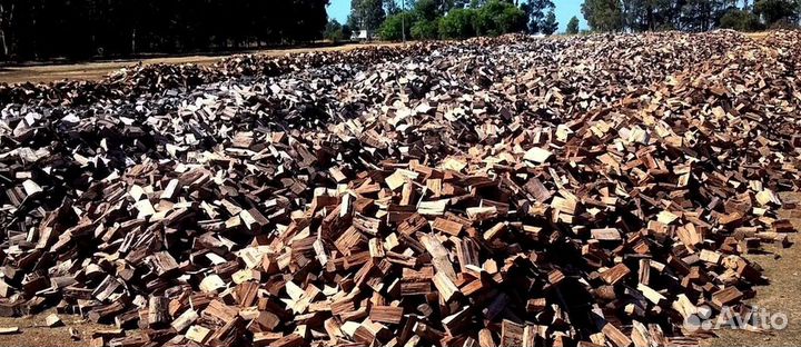 Дрова березовые колотые