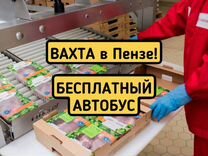 Вахта с питанием Мясное производство Разнорабочий