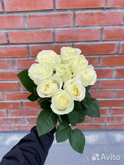 Букеты от 15 роз. Свежие розы от теплицы