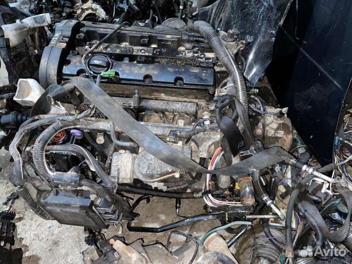 Двигатель Peugeot 406 (1995 - 2004) 2.0 EW10