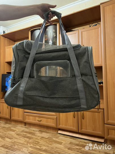 Товары для животных