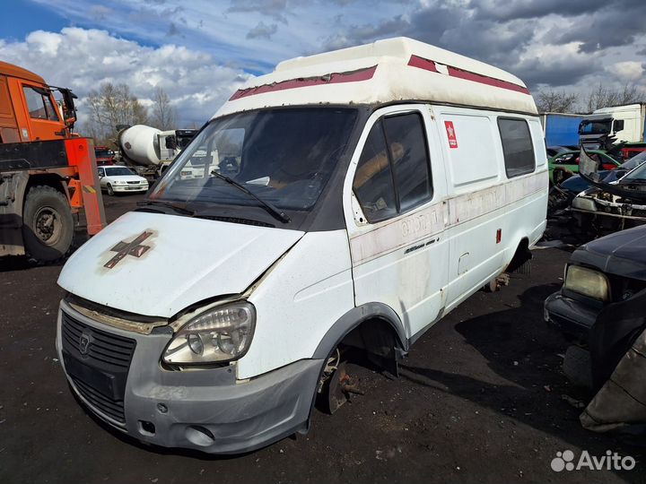 Газель высокая в разбор