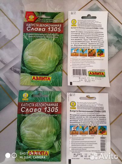 Семена капусты белокочанной