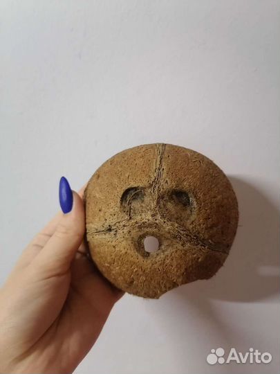 Домик для хомяка, новый 12 см диаметр