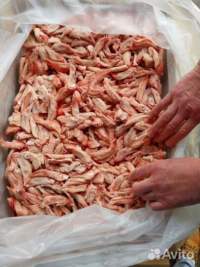 Локоть, кисть крыла куриные