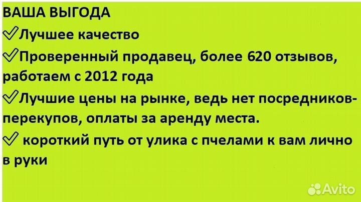 Мед подсолнечный от пчёл, доставкой Беспл