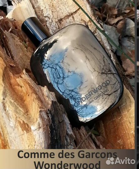 Comme des Garcons – Wonderwood (2010)