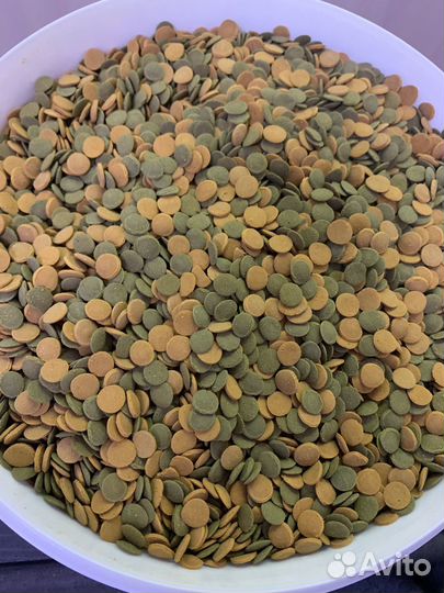 Корм tetra для аквариумных рыбок 25 - 10гр