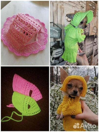 Вязание шапочек и одежды для собак