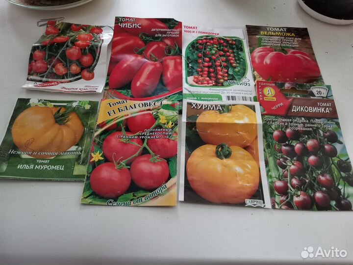 Продажа рассады томатов