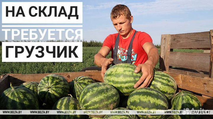 Работа/подработка/стабильный заработок