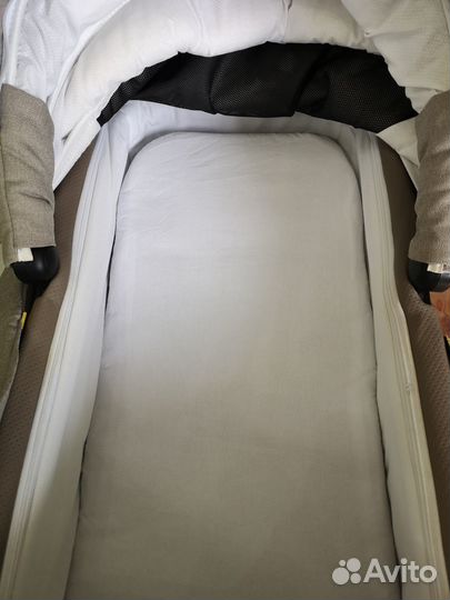 Коляска adamex «sierra special edition» 2 в 1