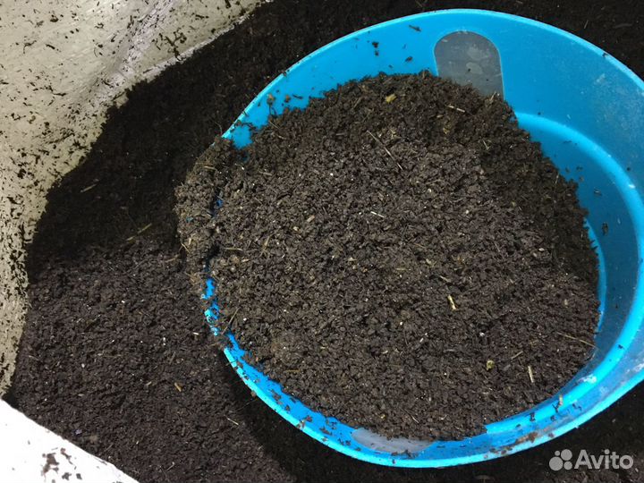 Биогумус (вермикомпост)