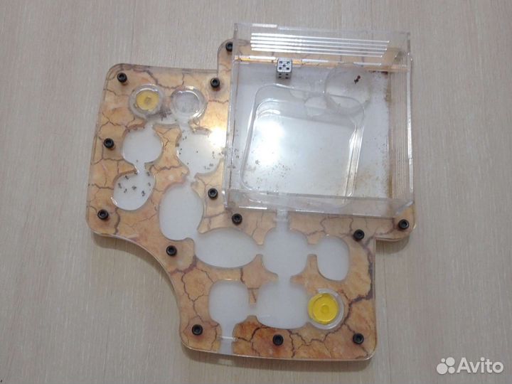 Муравьиная ферма