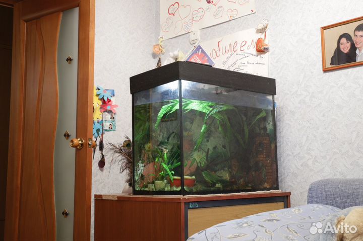 Аквариум 100 л под ключ с тумбой
