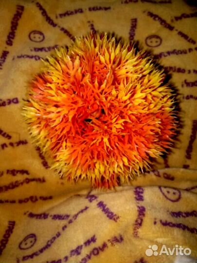 Грот и Растение для Аквариума