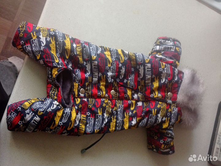 Костюм для собаки зимний на чихуахуа