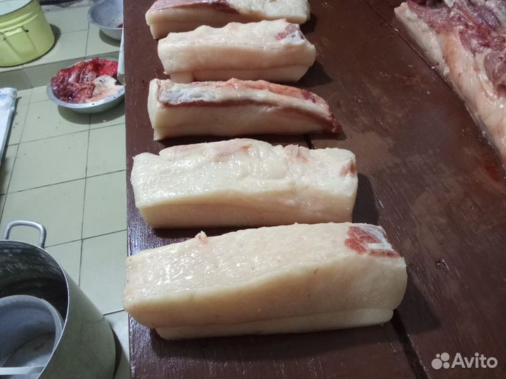 Продам сало домашнее