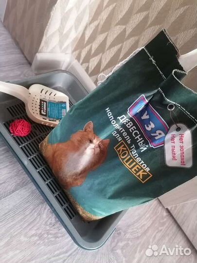 Лоток для кошек (набор)