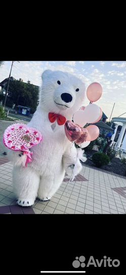 Мишка.аниматор.поздравить.ростовая кукла