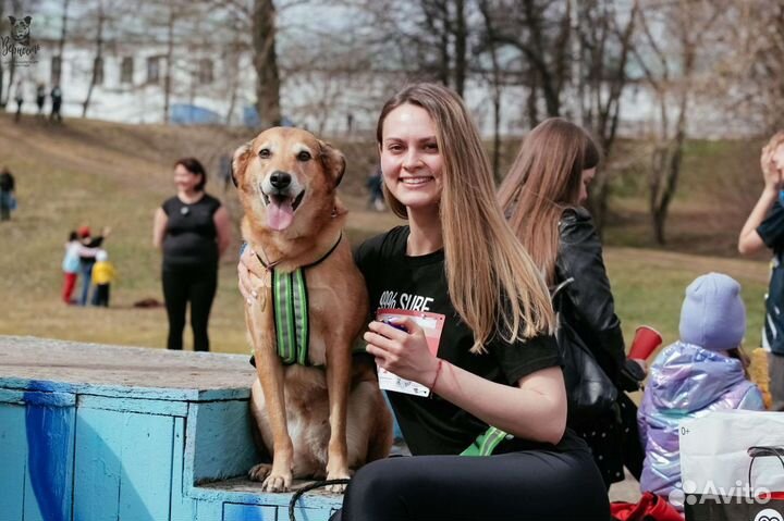 Зоопсихолог