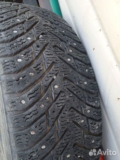 Nokian Tyres Hakkapeliitta 8 195/65 R15