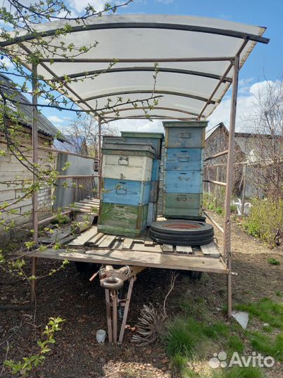 Прицеп для перевозки и размещения на пасике пчёл
