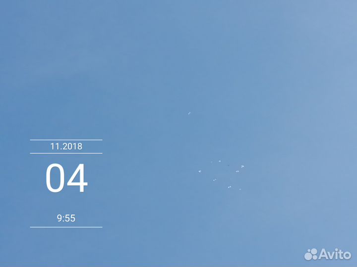 Продам Ставропольских высоколетных голубей