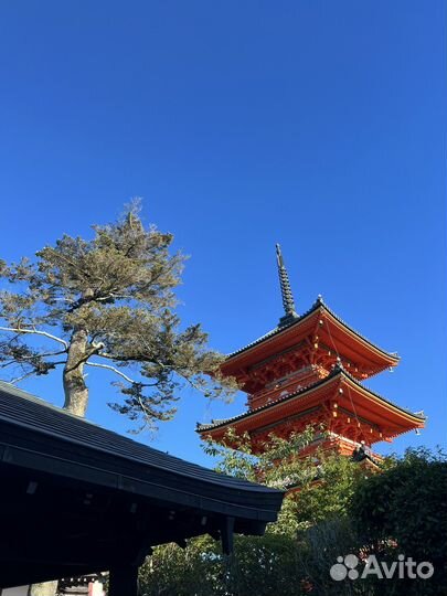 Репетитор японского языка