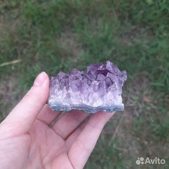 Друза аметиста натуральный камень