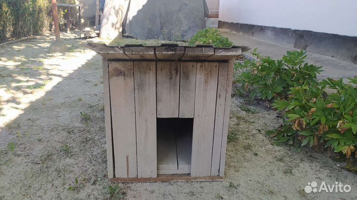 Будка конура для собаки