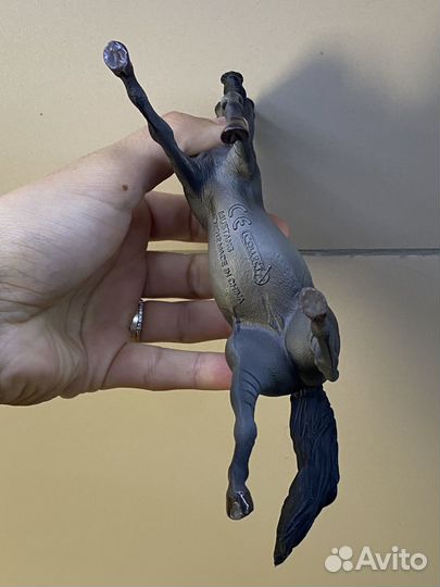 Кобыла мустанг