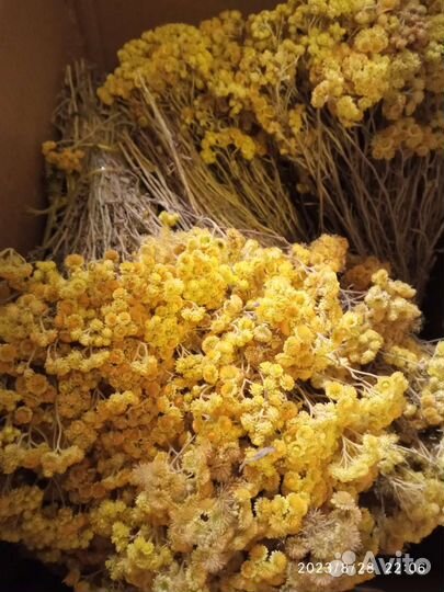 Целебные травы