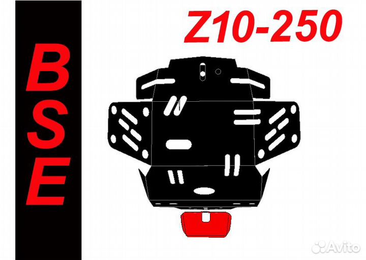 Защита Картера двс BSE Z10 250
