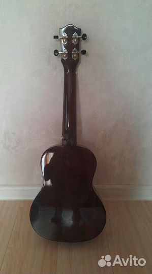 Укулеле концерт