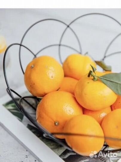 Фруктовница