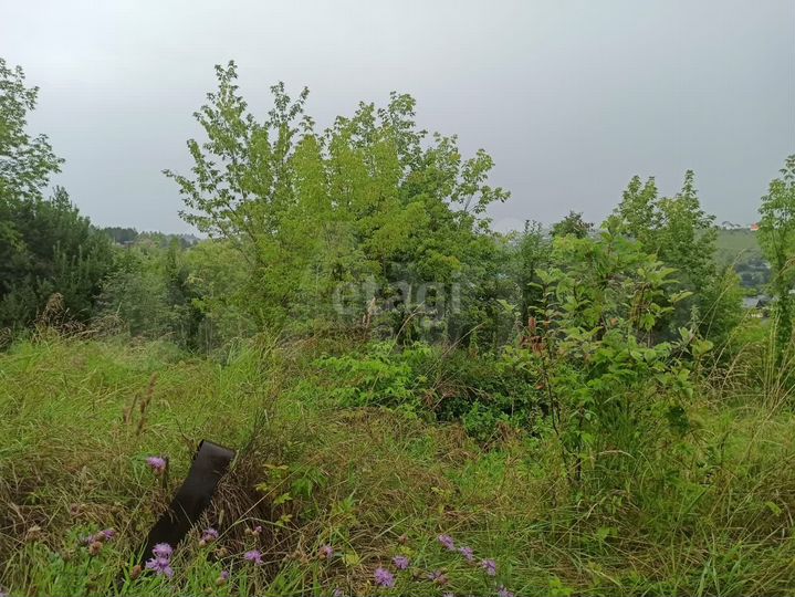 Участок 4 сот. (СНТ, ДНП)