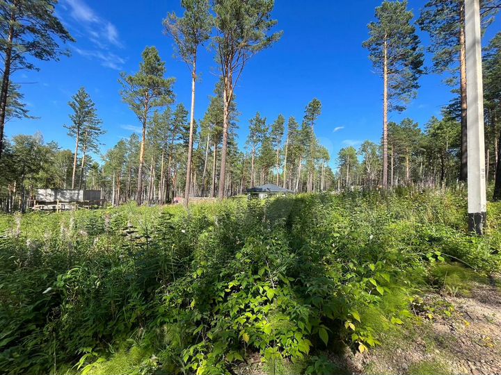 Дом 100 м² на участке 10 сот.