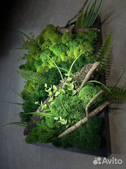 Настенное панно из стабилизированного мха
