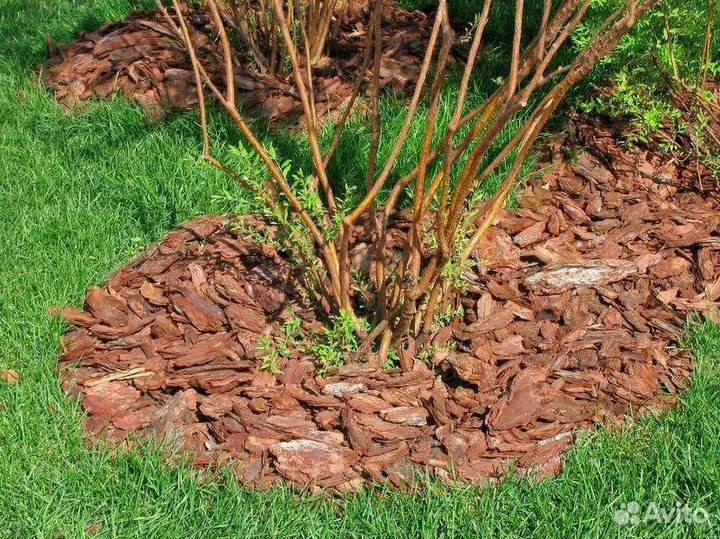 Кора сосны(мульча)