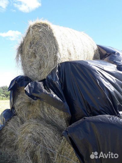 Сено в рулонах