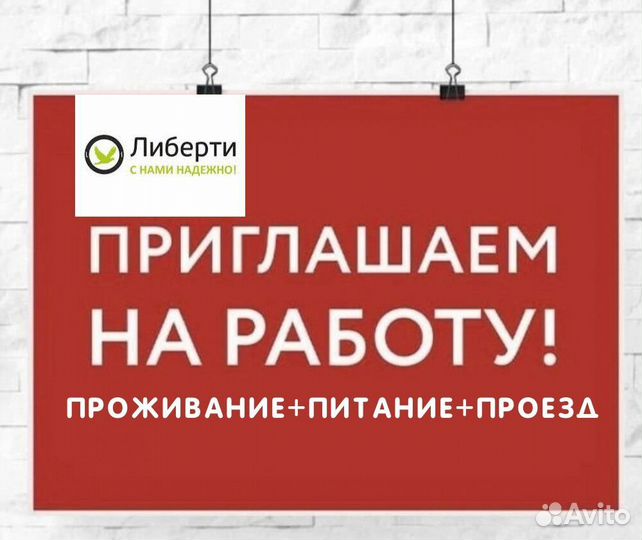 Дорожный рабочий (Вахта в днр)