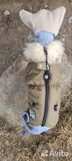 Одежда для собак и кошек мелких пород