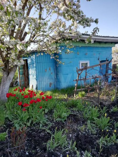 Участок 4 сот. (СНТ, ДНП)