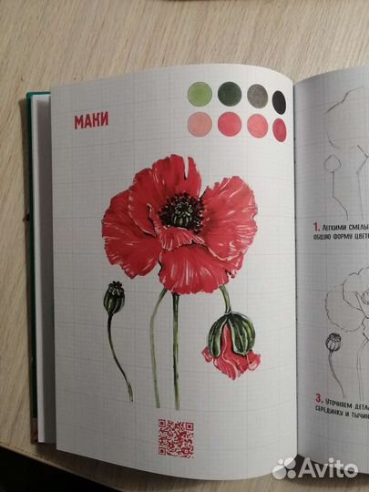 Скетчбук по ботанической иллюстрации